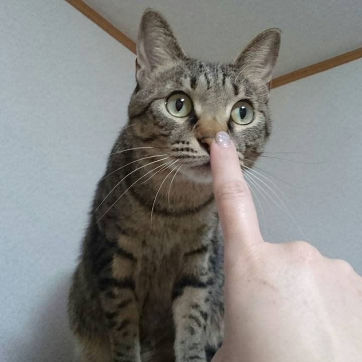 739b4a56 a197 4266 abe6 149827c87e61