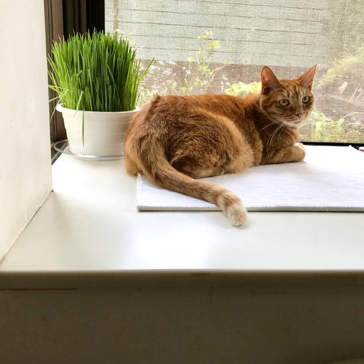 739b839b 7e3a 4c31 bac6 ed86e58f0754