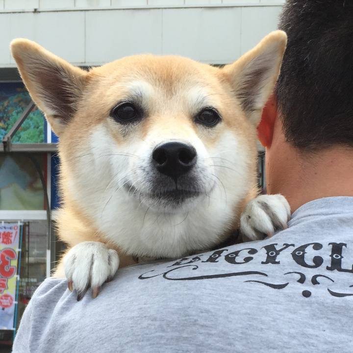 739bb017 3b92 4776 bbb0 258349a1cff4