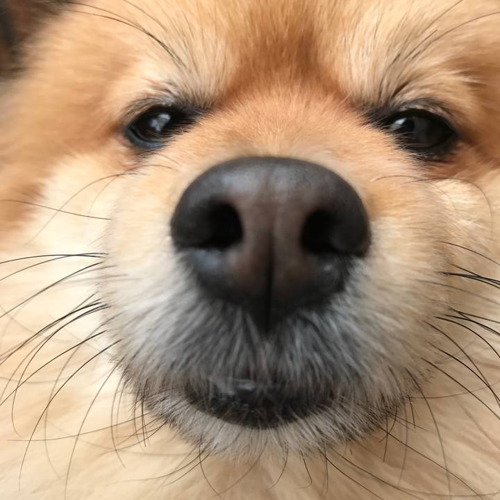 739c2d87 73fd 41dc b48c ee8e5f5b986b