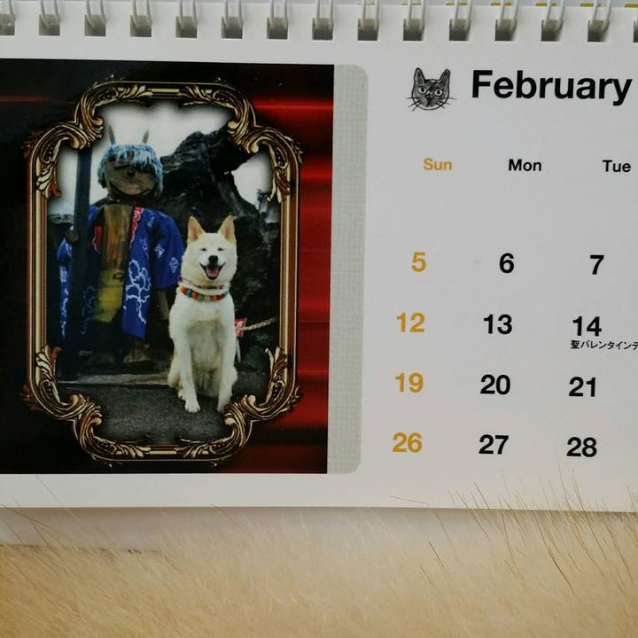 739da04e 9b21 4708 8300 f64548974c3d