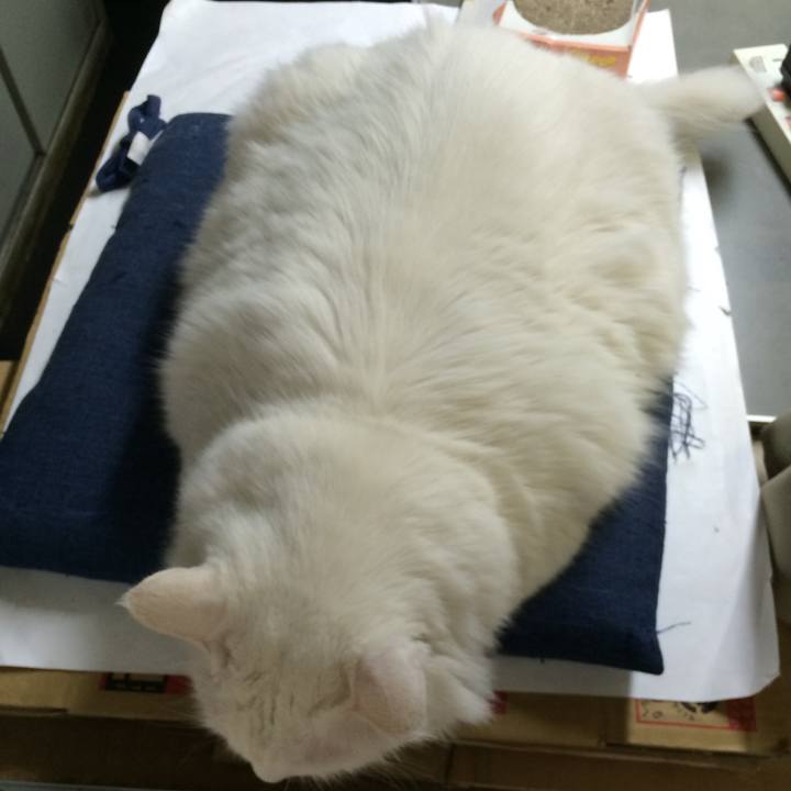 739da23b 7411 4f5a 8e08 ce6039ff403d