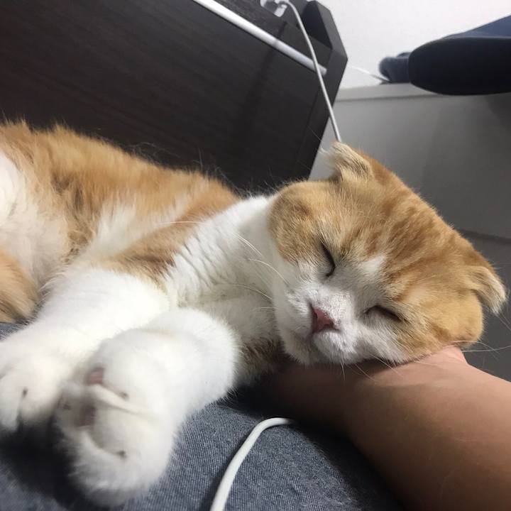 739da267 cf42 49ab 8597 a2e435fd8e82