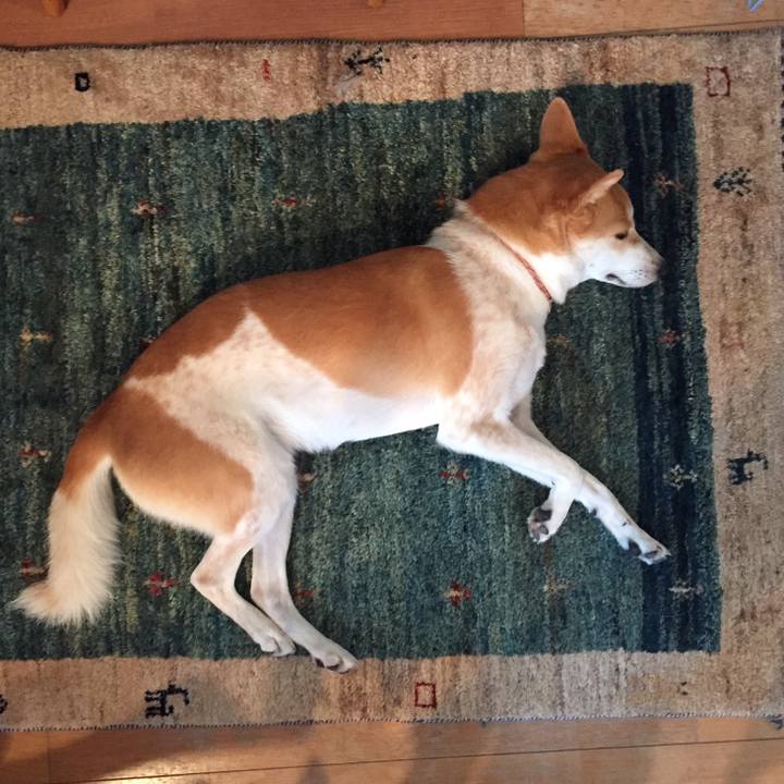 739da4d5 d4e9 4475 9f4f d7111fc29c0e