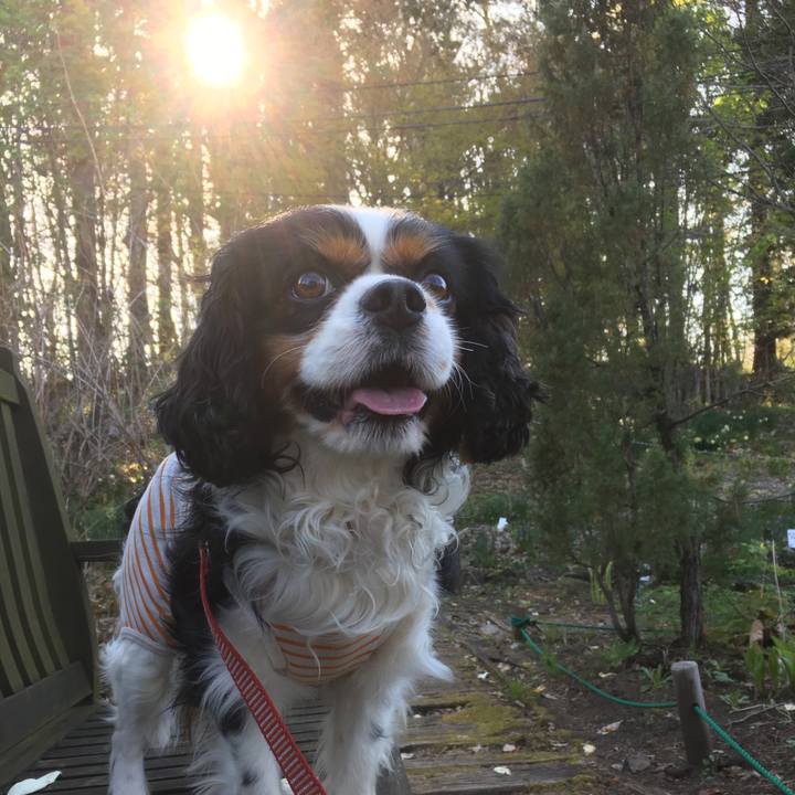 739ded24 2f91 4f70 8ef0 c7786d903013