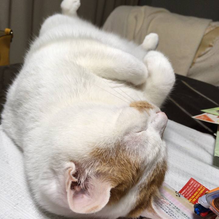 739e56b7 4538 4cda 9a99 fc2429bf801e