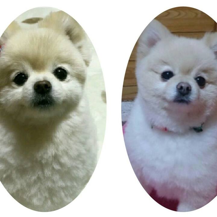 739efaa3 55e0 4e9f ba26 29075e4950d9