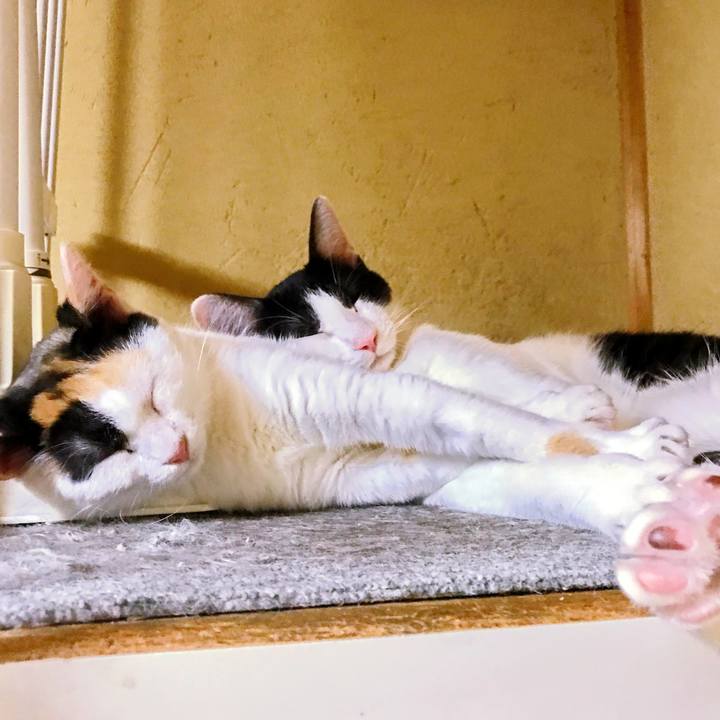 739f40c0 5340 430f adc0 3459df2295ab