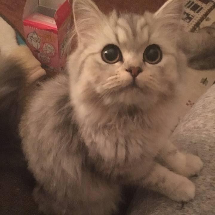 739f5170 b1ff 4a90 b299 80f83c05af09