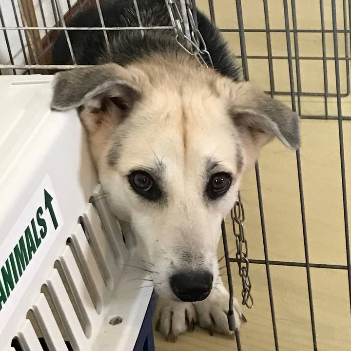 739f5f13 e4f1 4f9e a997 16aeb158dc83