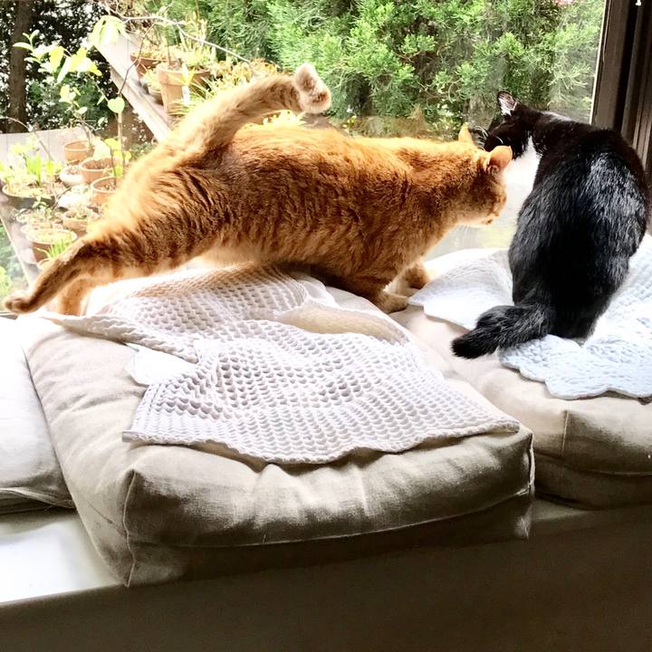 739fd563 56ef 4f8b 82aa 411c678b5752