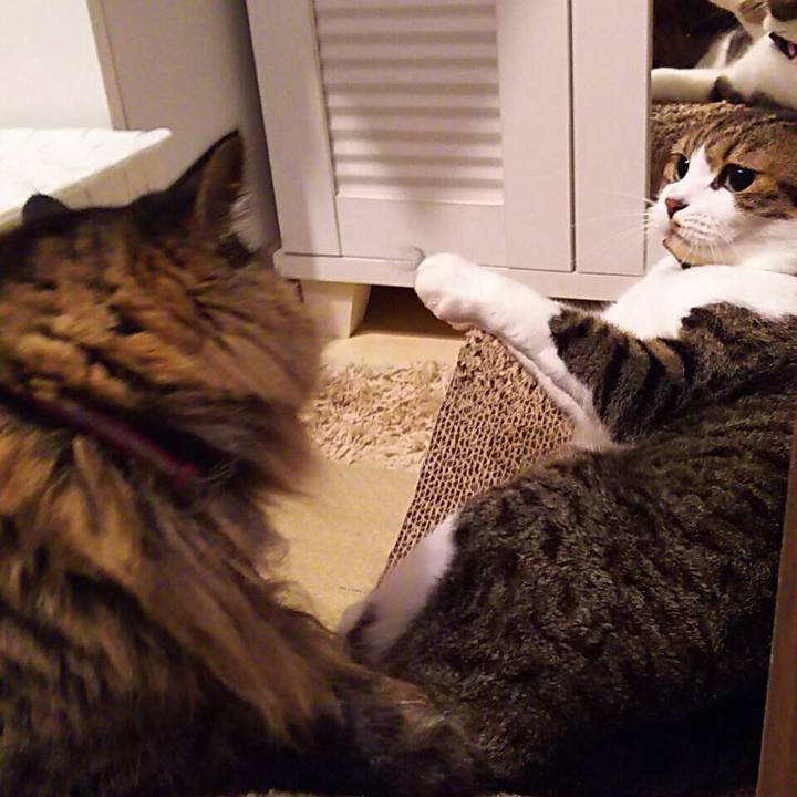 73a059c2 846a 4b7b 8db0 bb479961abca