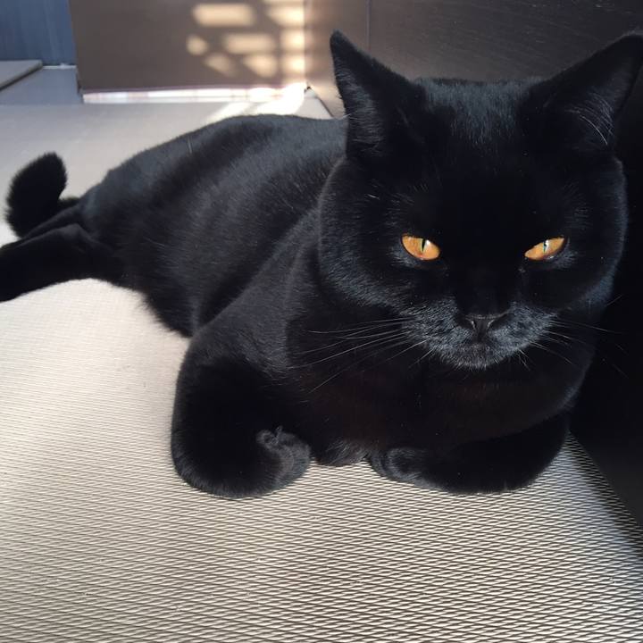 73a071e0 f170 454b 9f2d 8c180af9b72d