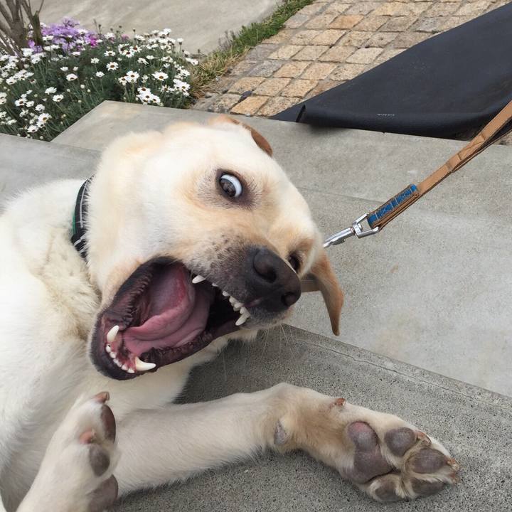 73a079cd 6fd7 400b b929 7a6fdbb9cbdd