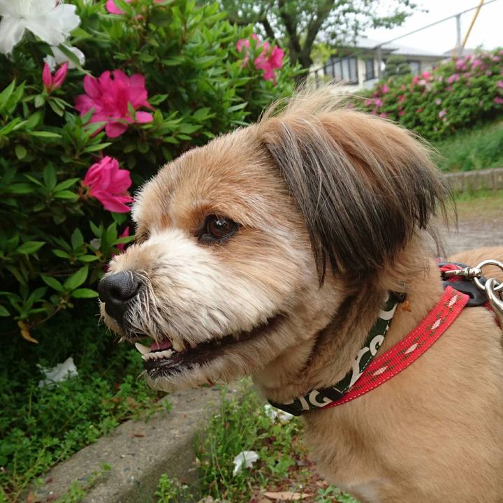 73a0d102 7a7e 4821 beab fd01277805a7