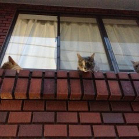 73a286d3 af28 477d bb73 bddab2f925b5