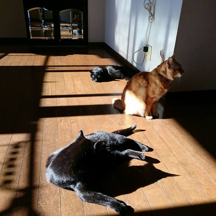 73a2a67d 5d21 441d 9bb8 96d4f79f24f7