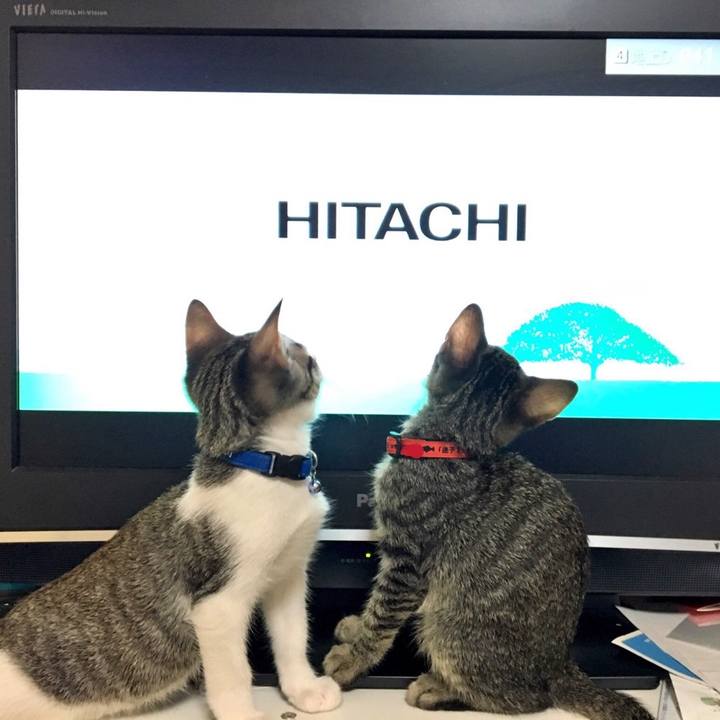 73a2f01d abf9 49e0 83e1 d829bd8901c4