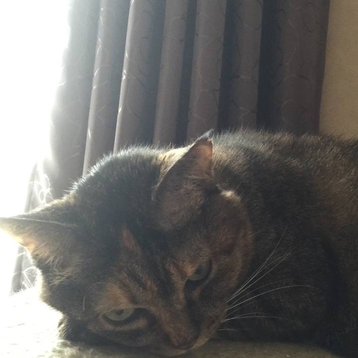 73a33ee6 f693 49e6 bad5 40fde5ac546d