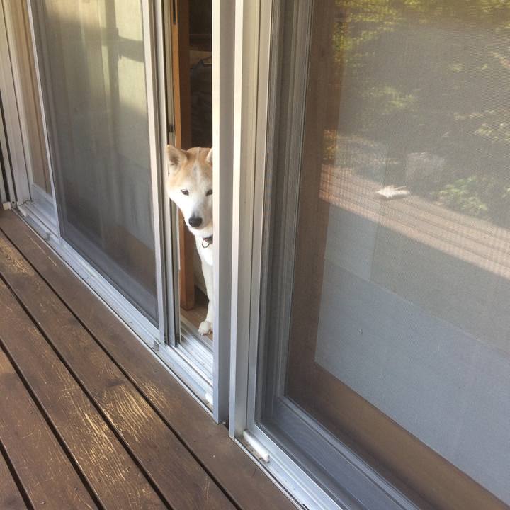 73a363d5 6e4f 4730 8af0 7429f78b4090