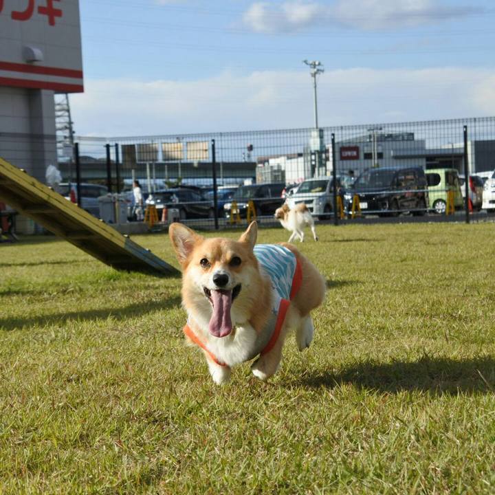 73a38459 e2ef 410e 9840 3dc5707fdcf3