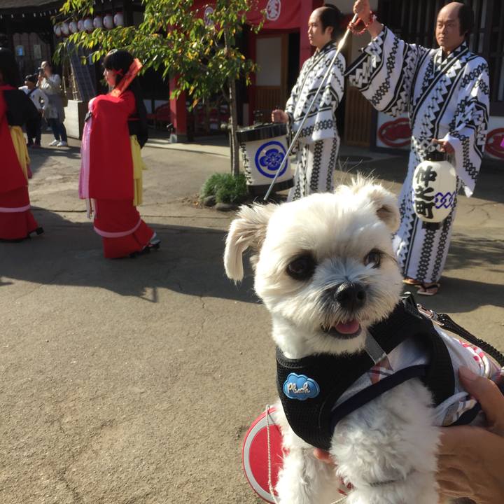 73a3a87d bd10 453a 9d5f 2870597cb751