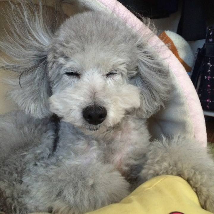 73a3f3dc 5c6b 4974 816b b46ec1c1a729