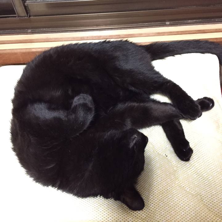 73a42cef 50e3 457f a2be 4c381f1add50