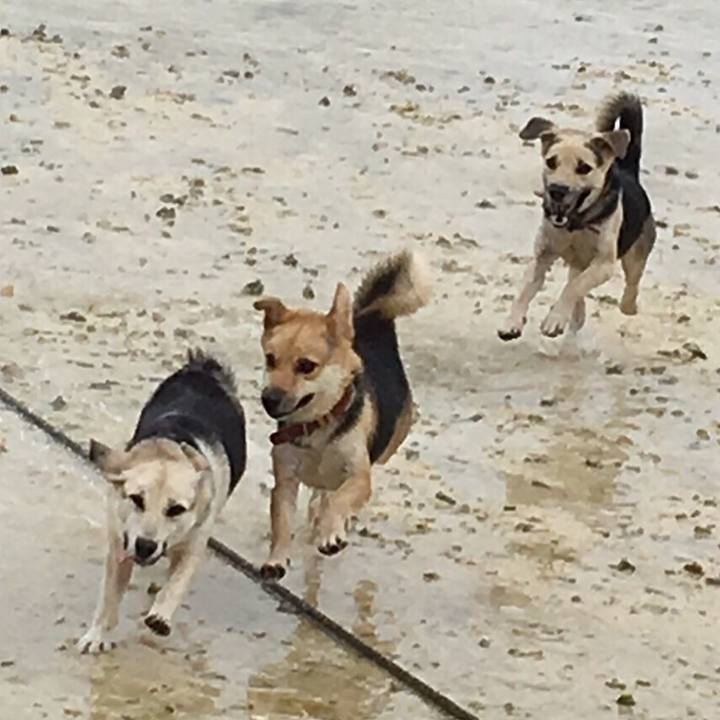 73a4cdbb 9205 4d83 a151 e6eb6659d061