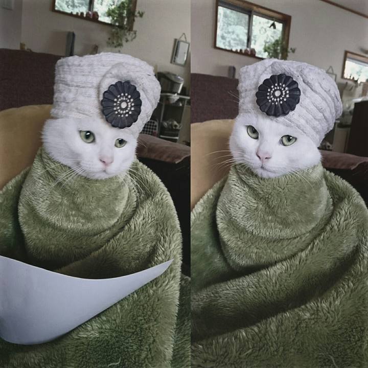 73a4fc8d d8d8 4ab3 82d7 ecf2c07582ba