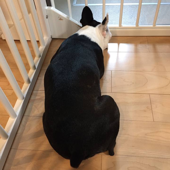 73a5c482 d7ff 4c30 a8f4 43940253c37a