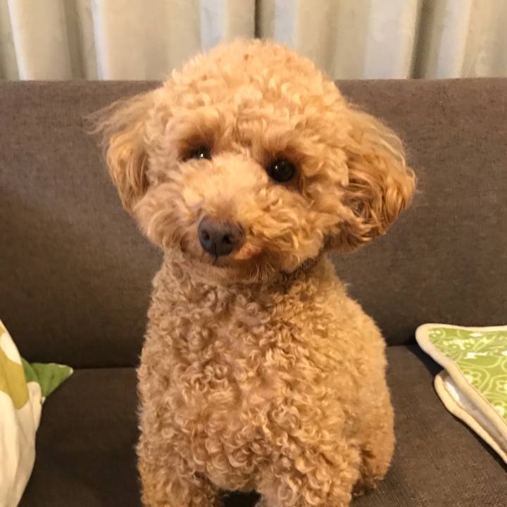 73a74cec 81a5 4925 a56a 3c1b9968bd62