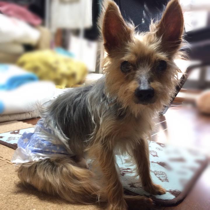 73a7b2ce a806 49a3 bda7 80ba2b3edc69