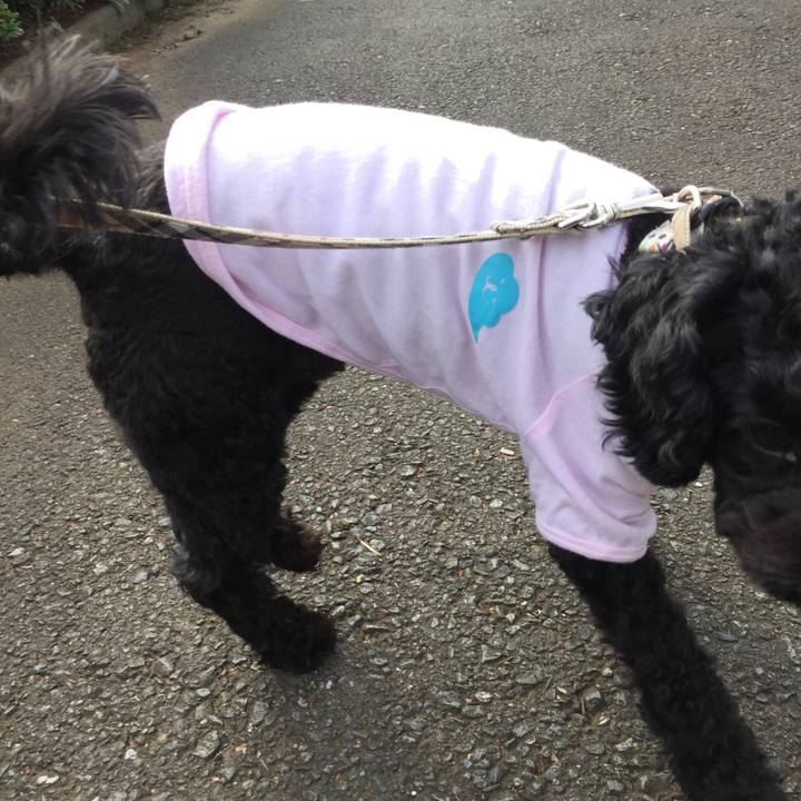 73a7fefe f9ef 4a0b 9861 01c7340dd895