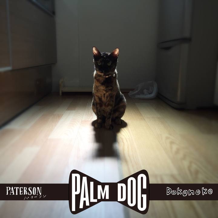 73a84f4f 1653 4c32 8d4a d6bb036696ee