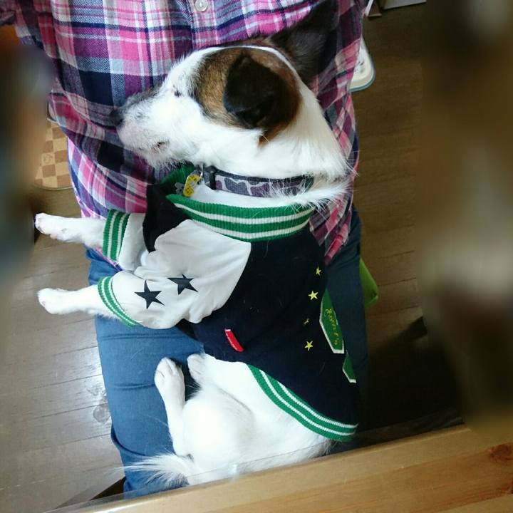 73a8994e c691 4447 9ef5 15bfb7c96133