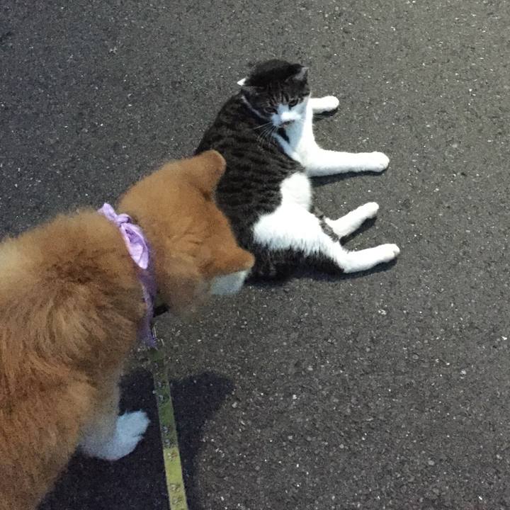 73a9b195 5ce3 4856 8fff fbaa1b81ae11