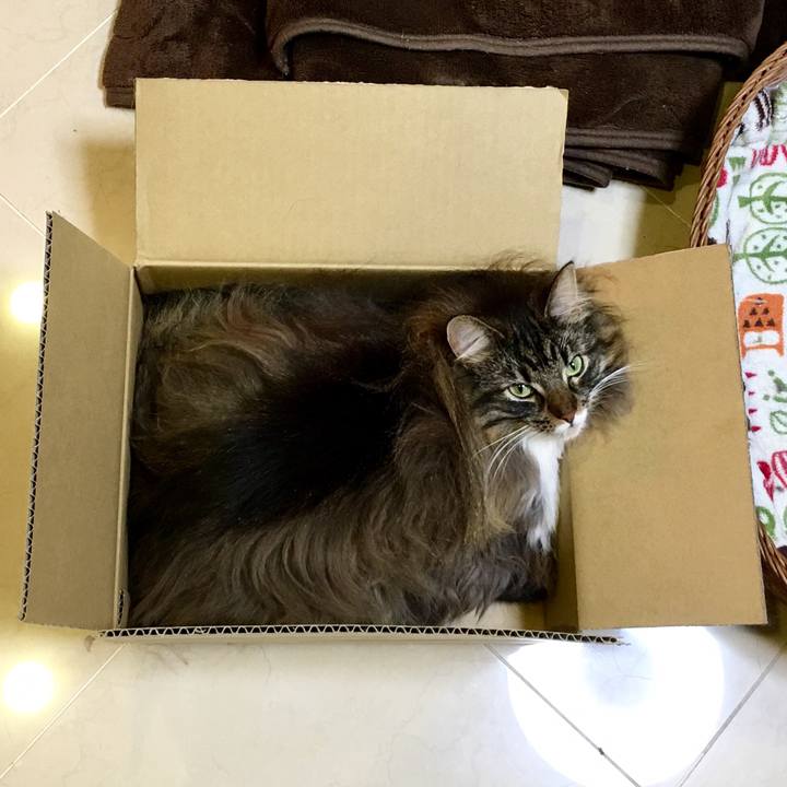 73a9bbbd e541 4674 83ec 7ec0b9c2a3ee