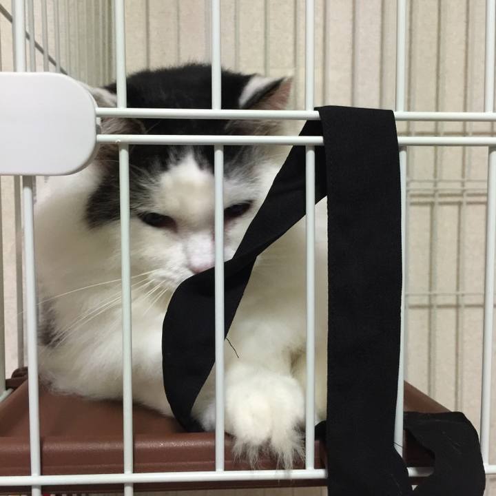 73a9e144 b3ad 4298 bc10 b3008dc03ce3