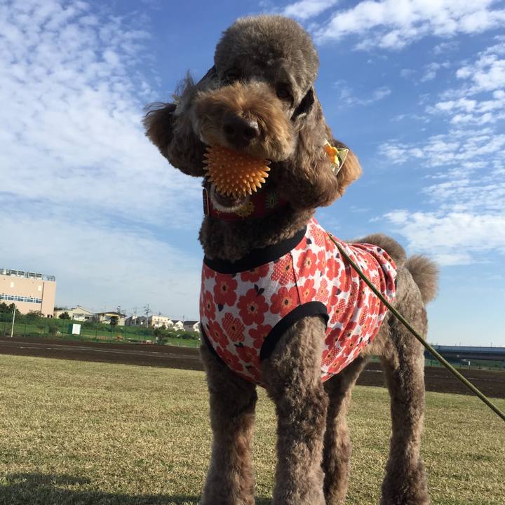 73aa412a 7163 40b2 b2da 0eab9569437f