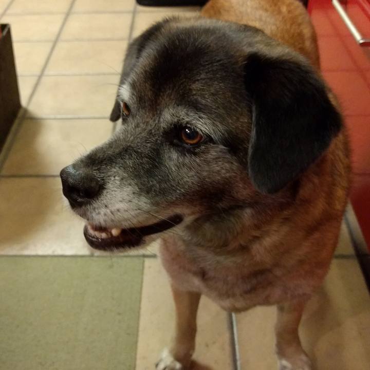 73aa554e a208 4910 b1a9 eb298a4b23c5