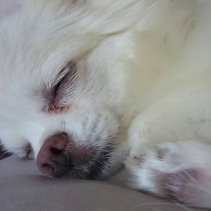 73aa7cf4 16b1 44ab ac9d b19e75c68df8