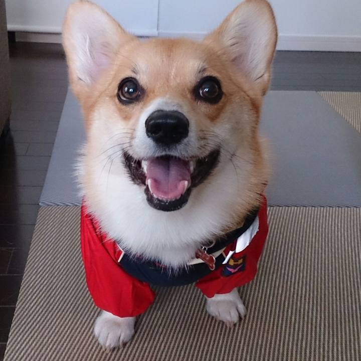 73ab0710 2097 4188 94ad 6743e53df971