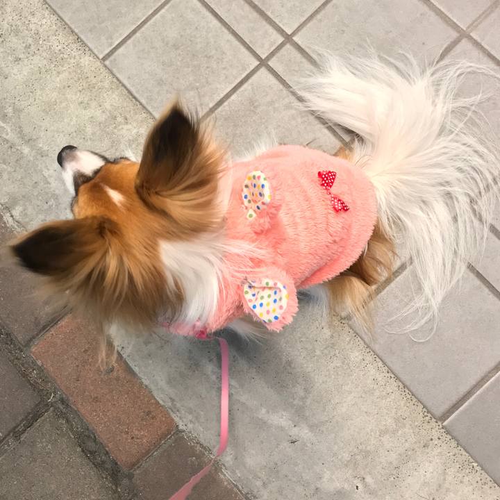 73ab7df9 71c9 4b41 a556 37585278465b