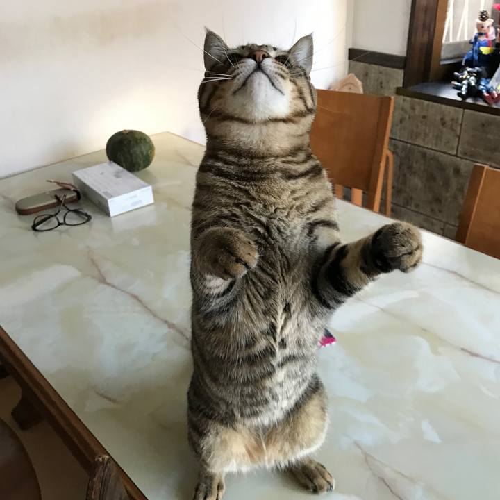 73ac0780 c589 485b bc76 0bc73ed04af3