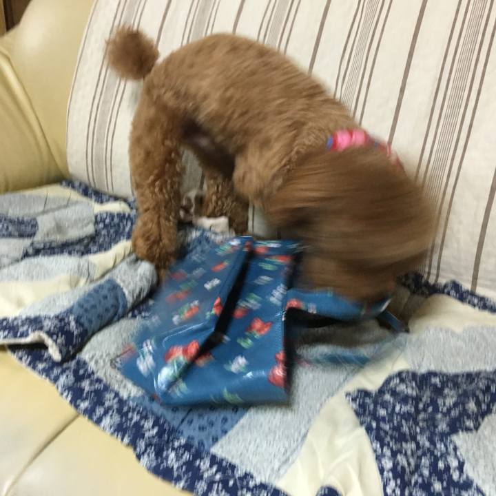 73ad0a97 4366 4b5e bb99 39ea5c41cdd7