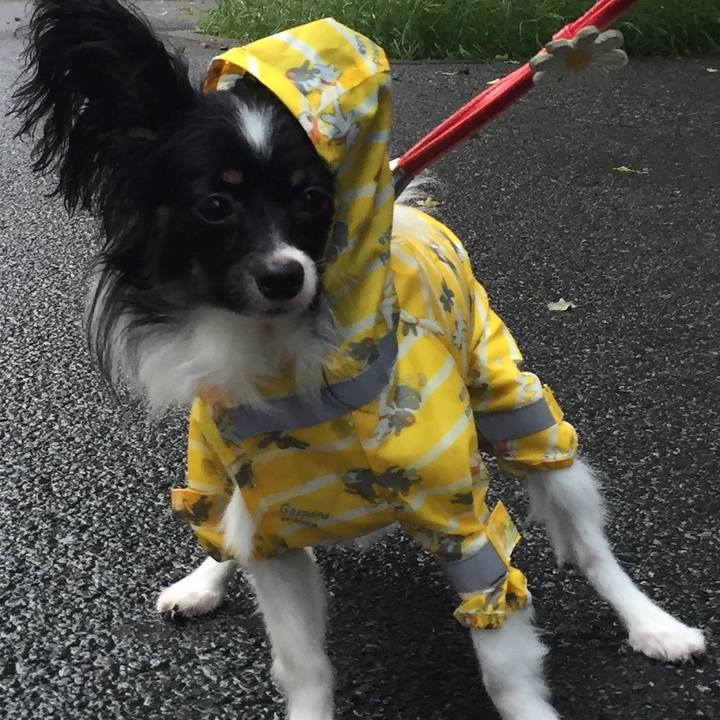 73ad376a 1a53 4df8 85e5 856879b95dce