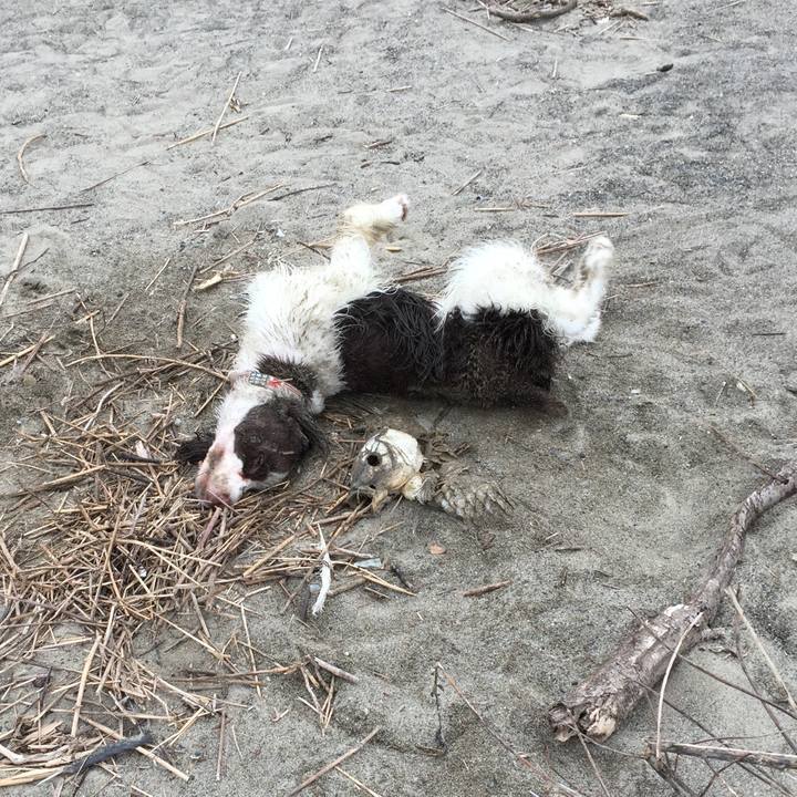 73adae74 3e78 41f2 bf53 84f8d76ea20e