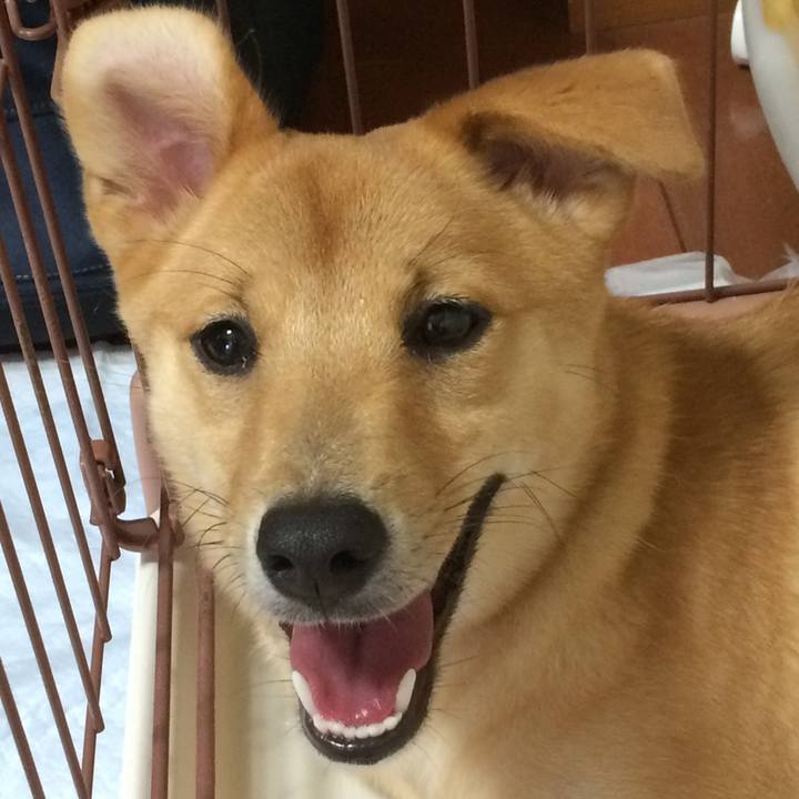 73adb617 4d7d 4536 a1da 85edd687eecf