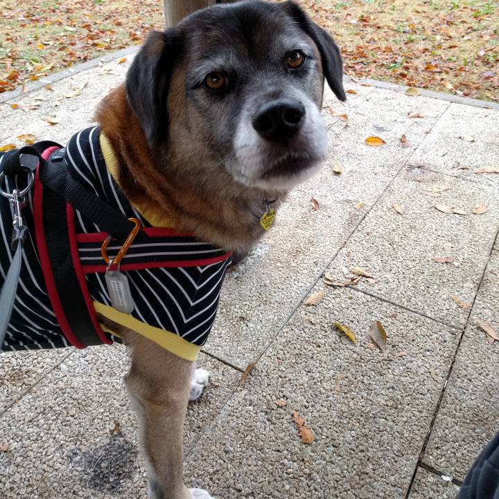 73adbdbb 6544 4ab2 94e6 38a76c5d3e32